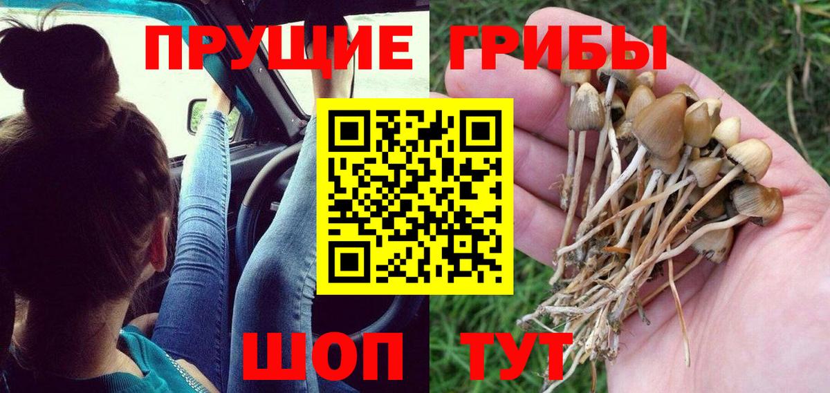 Рыбинск  Галлюциногенные грибы Magic Shrooms  цена наркотик  Вход с VPN 